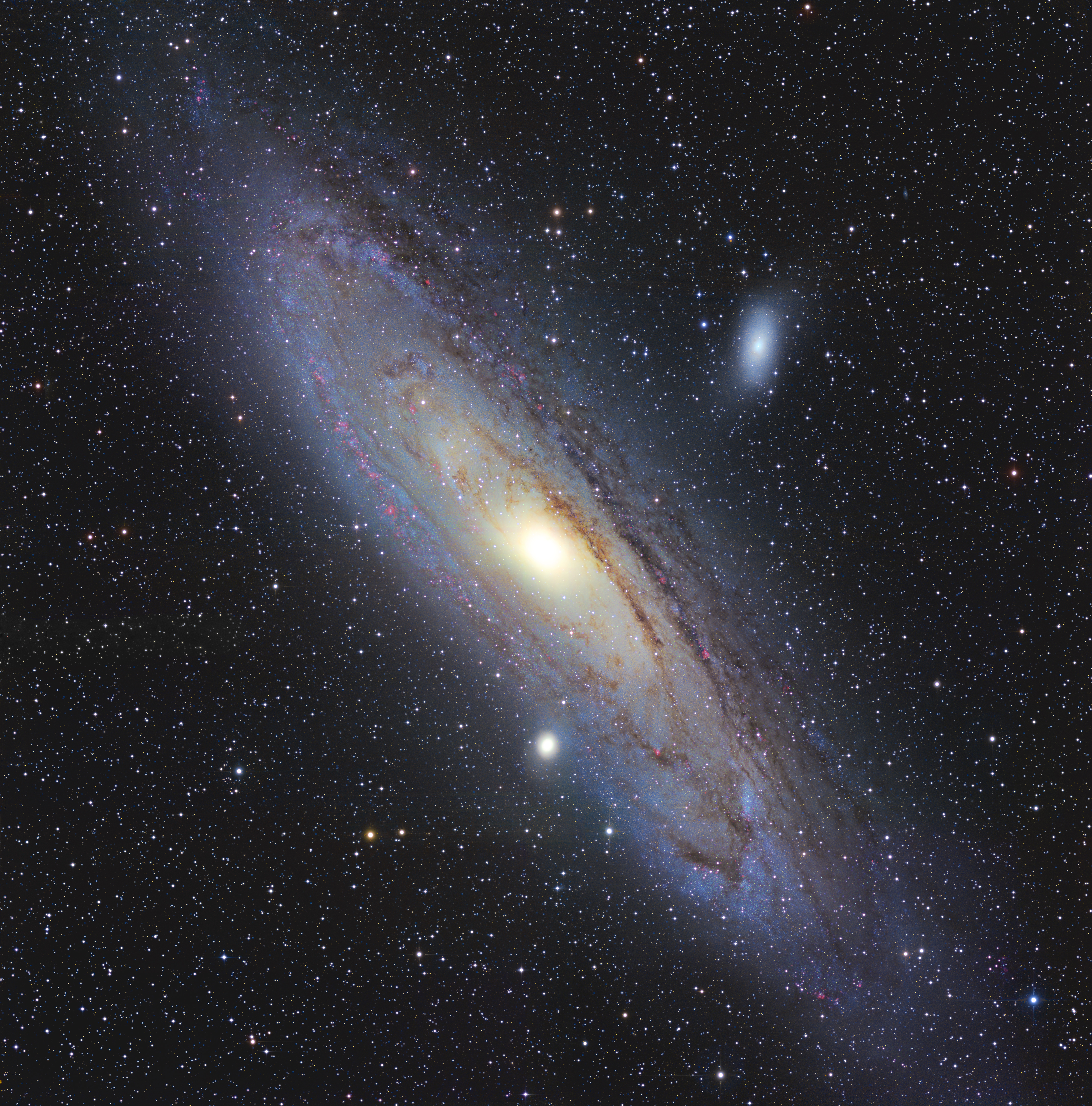 M31