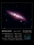 NGC3031