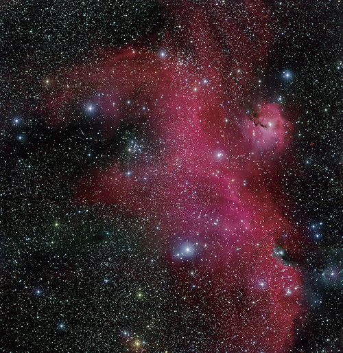 Seagull nebula