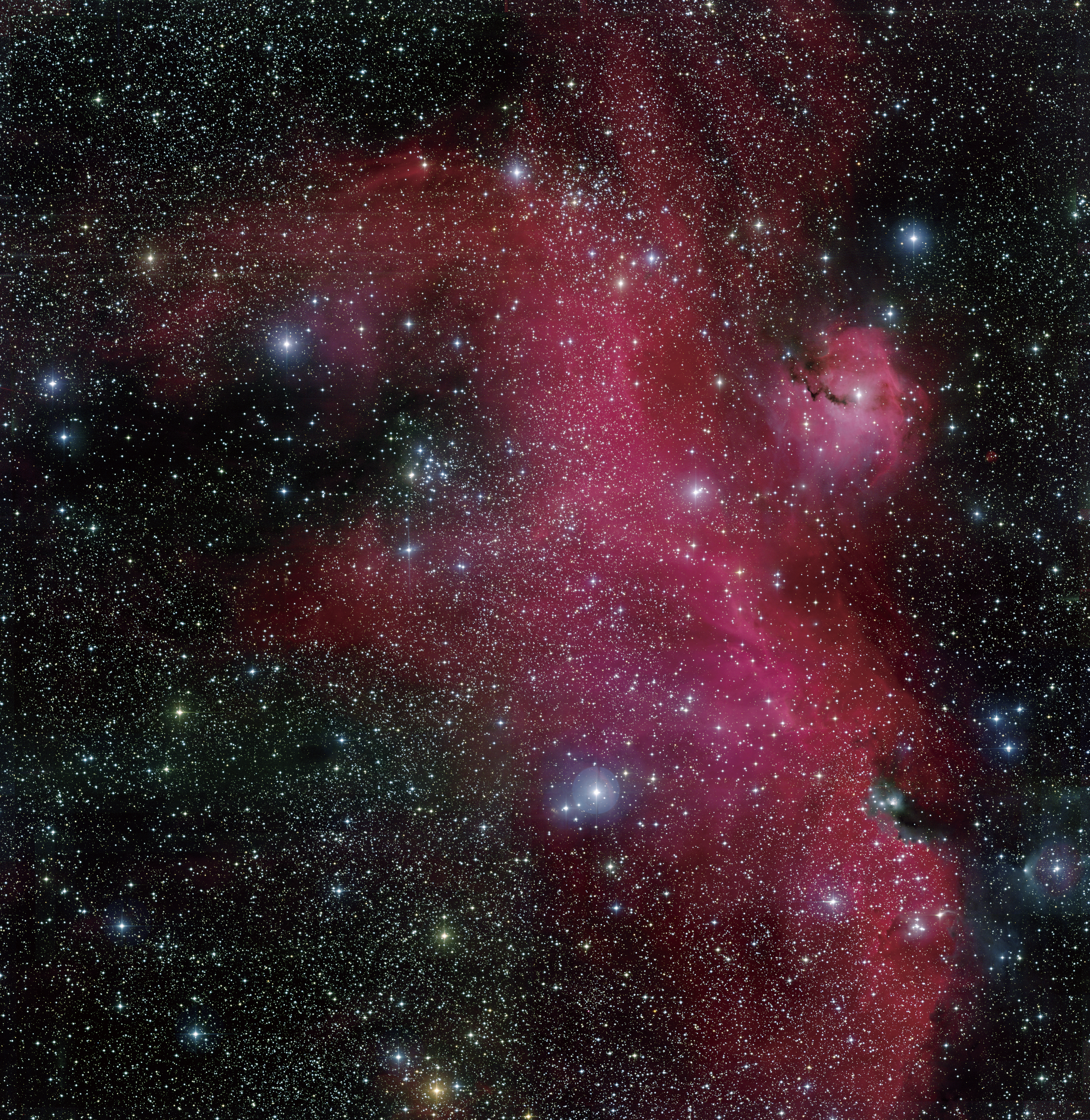 Seagull nebula