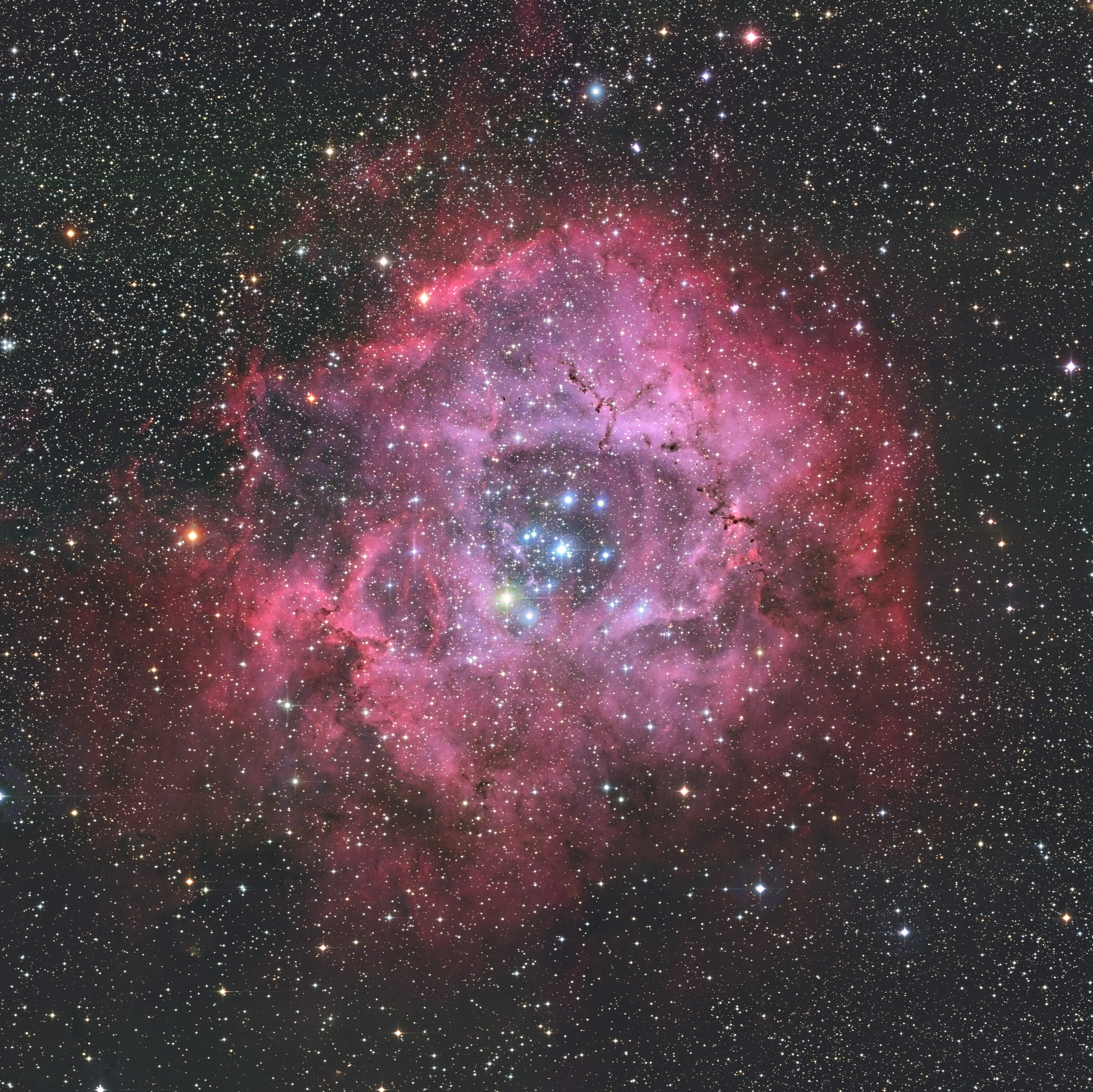 Rosette nebula