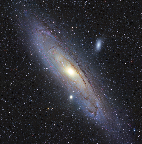 M31