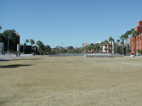 arizona031217-015.jpg