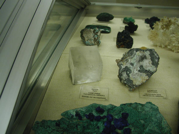 arizona031217-021.jpg