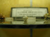 arizona031217-024.jpg